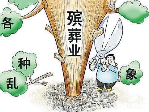 衢州最新文件深度解读与观点阐述，权威解读与阐述