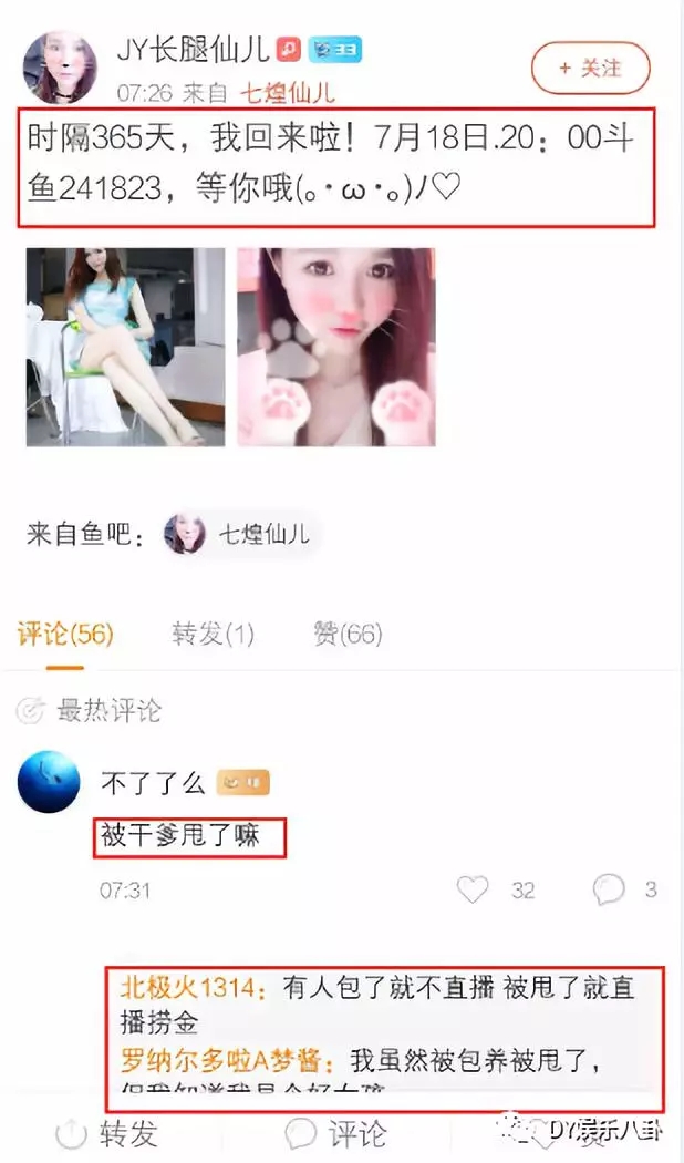 斗鱼最新八卦揭秘，小巷深处的独特风情