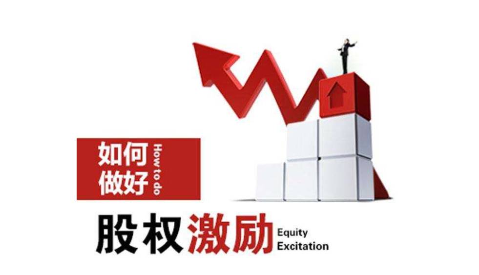 最新股权激励计划详解，步骤指南与操作策略
