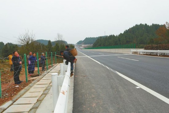 高速公路最新护栏设计，安全、美观与实用并重🌟